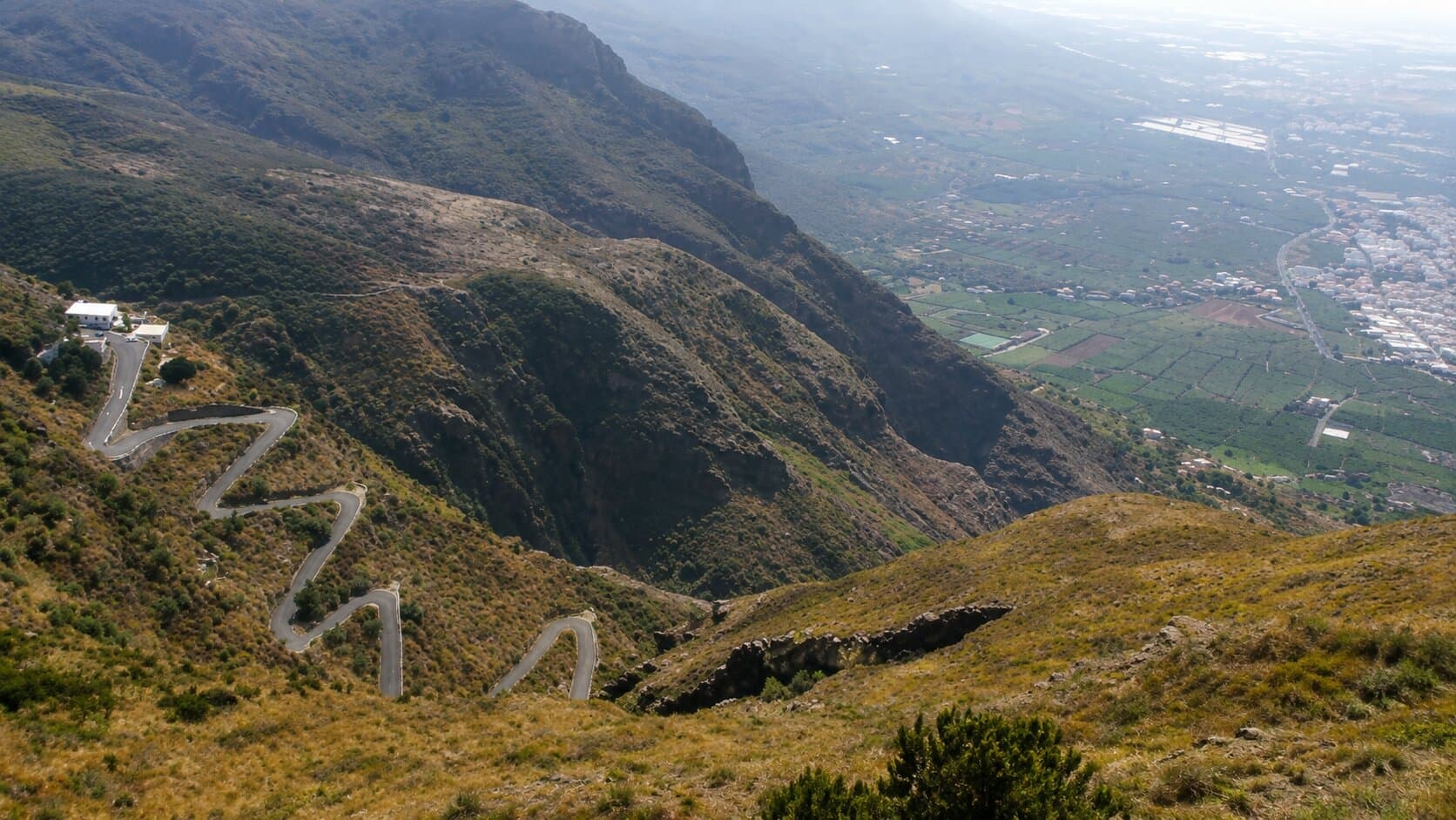 Taucho